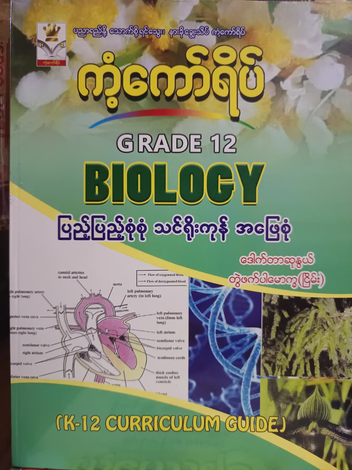 ဒေါက်တာဆုနွယ် တွဲဖက်ပါမောက္ခ(ငြိမ်း). Grade 12 Biology ကံ့ကော်ရိပ် သင်ရိုးကုန် by ဒေါက်တာဆုနွယ် — book cover