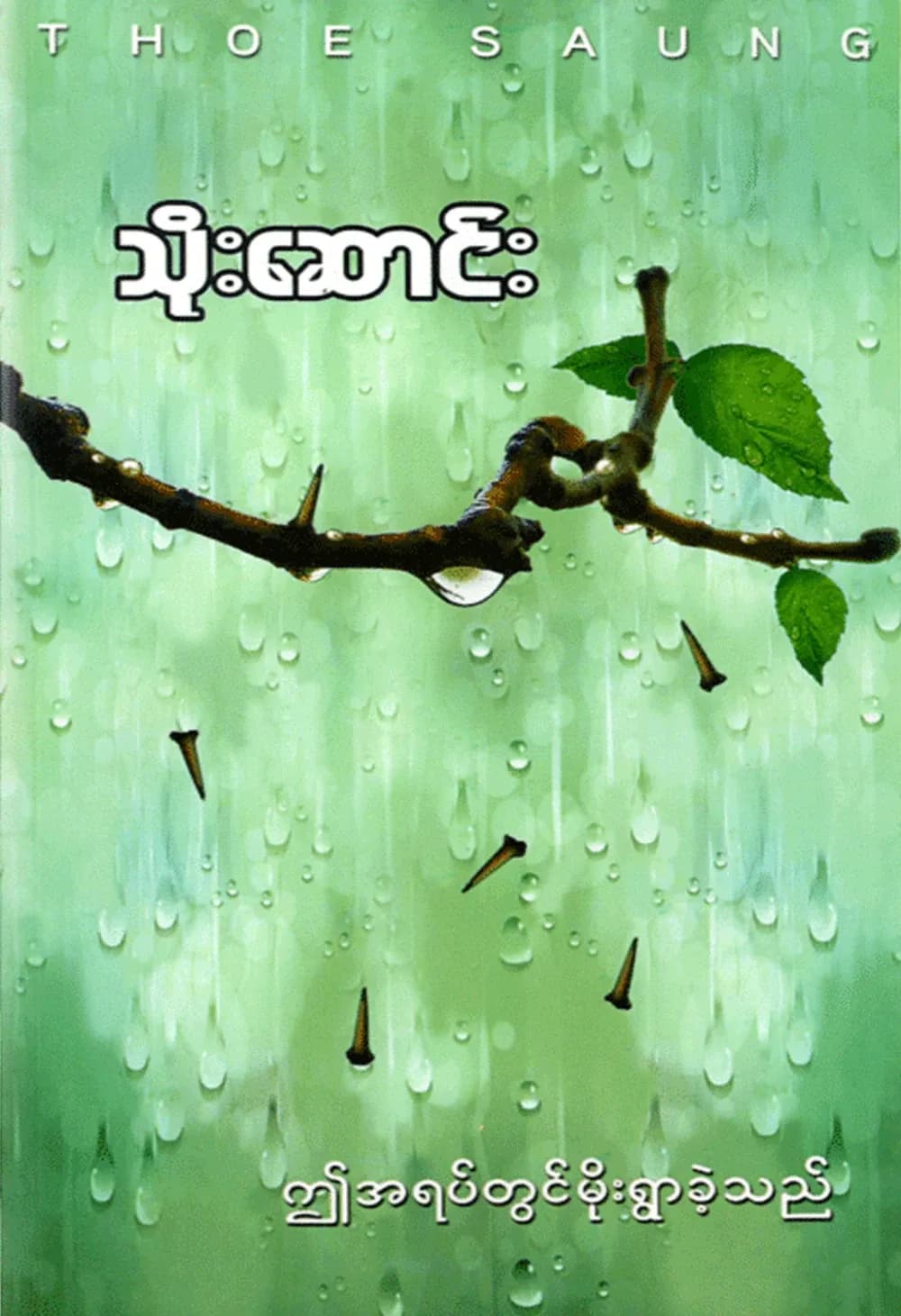 ဤအရပ်တွင်မိုးရွာခဲ့သည် by သိုးဆောင်း — book cover