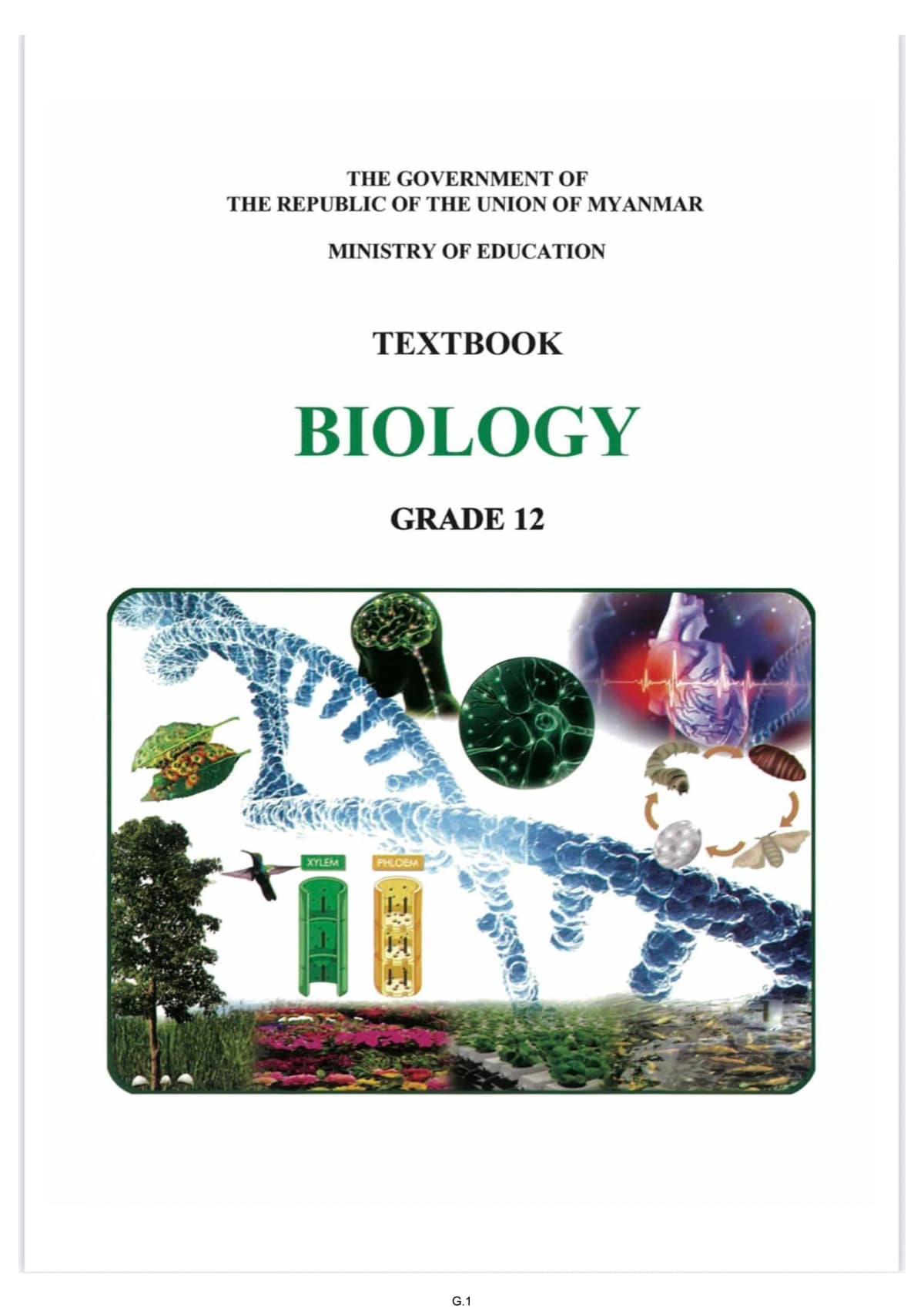 Grade 12 Biology Textbook by သင်ရိုးကော်မတီ — book cover